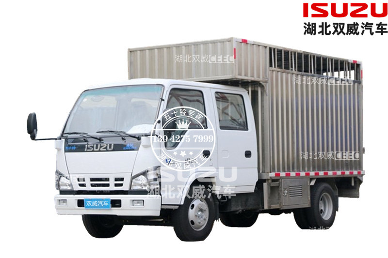 庆铃五十铃国六600P 双排厢式拉鱼车